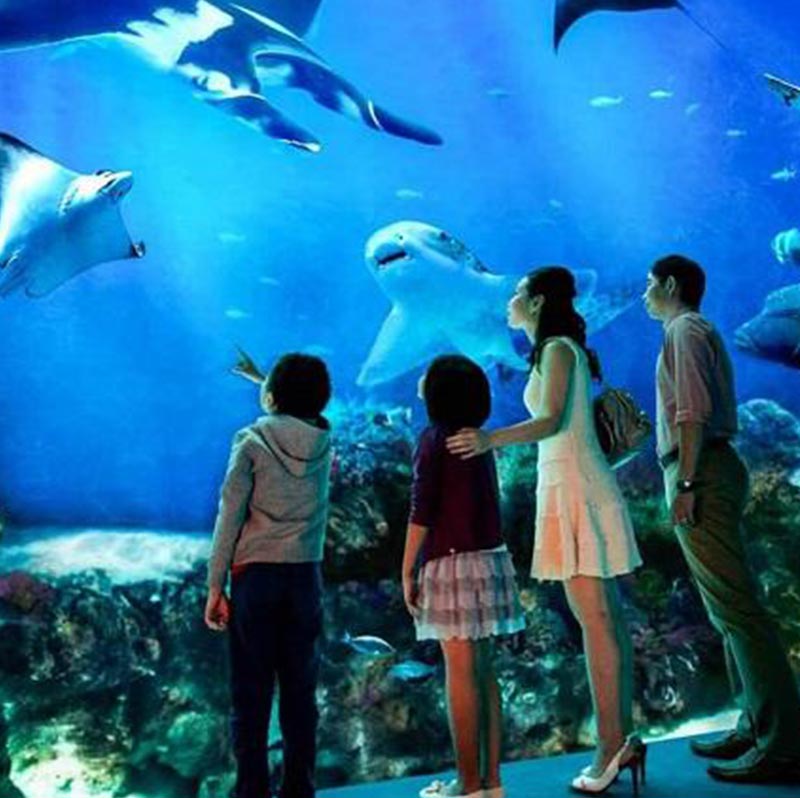 ハノイ水族館 - 遊園地は訪問者を興奮させています