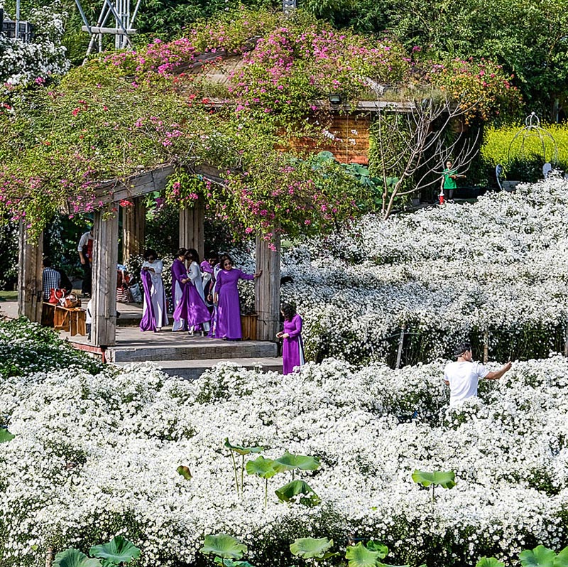 西湖花谷について