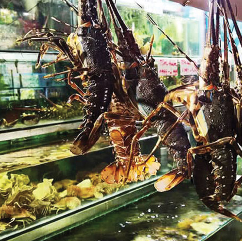 ハノイのカウザイ地区でユニークな屋台の食べ物を発見