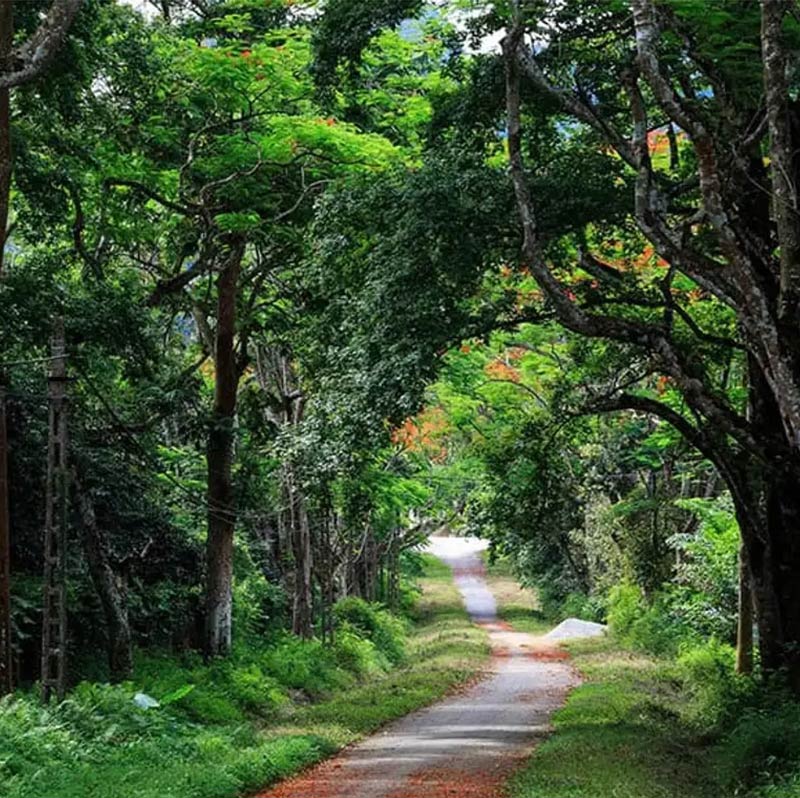 Sightseeing in Ba Vi National Park