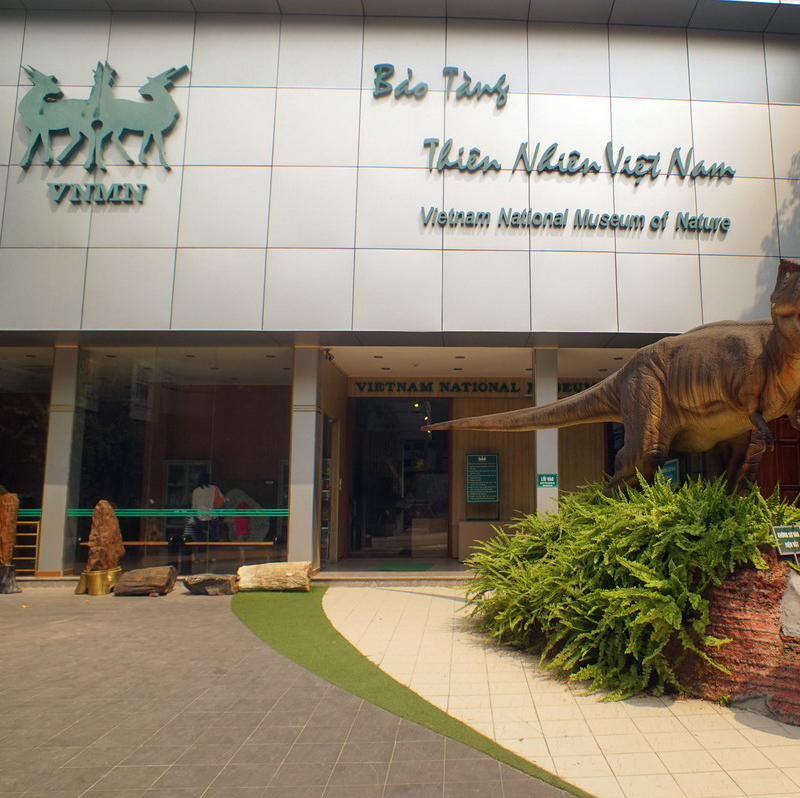 Where is Vietnam Museum of Nature?