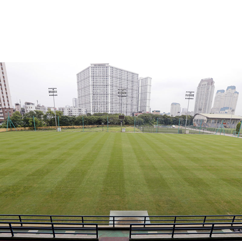 Ping Diamond Hotel - Hotels near Vietnam youth football training center