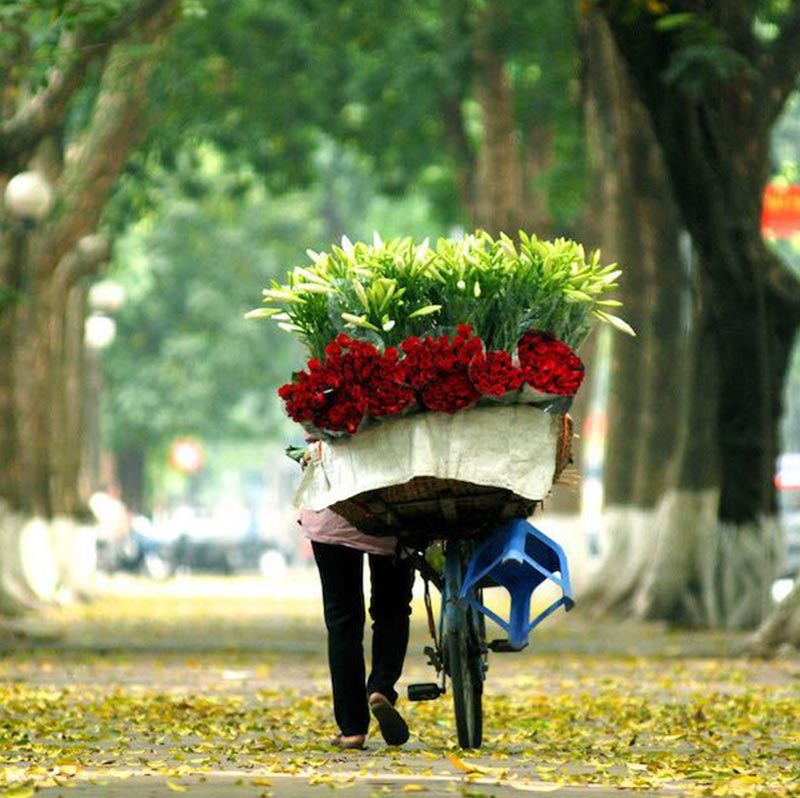 The best time to travel to Hanoi